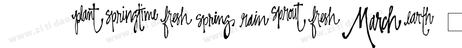 CK Springtime字体转换
